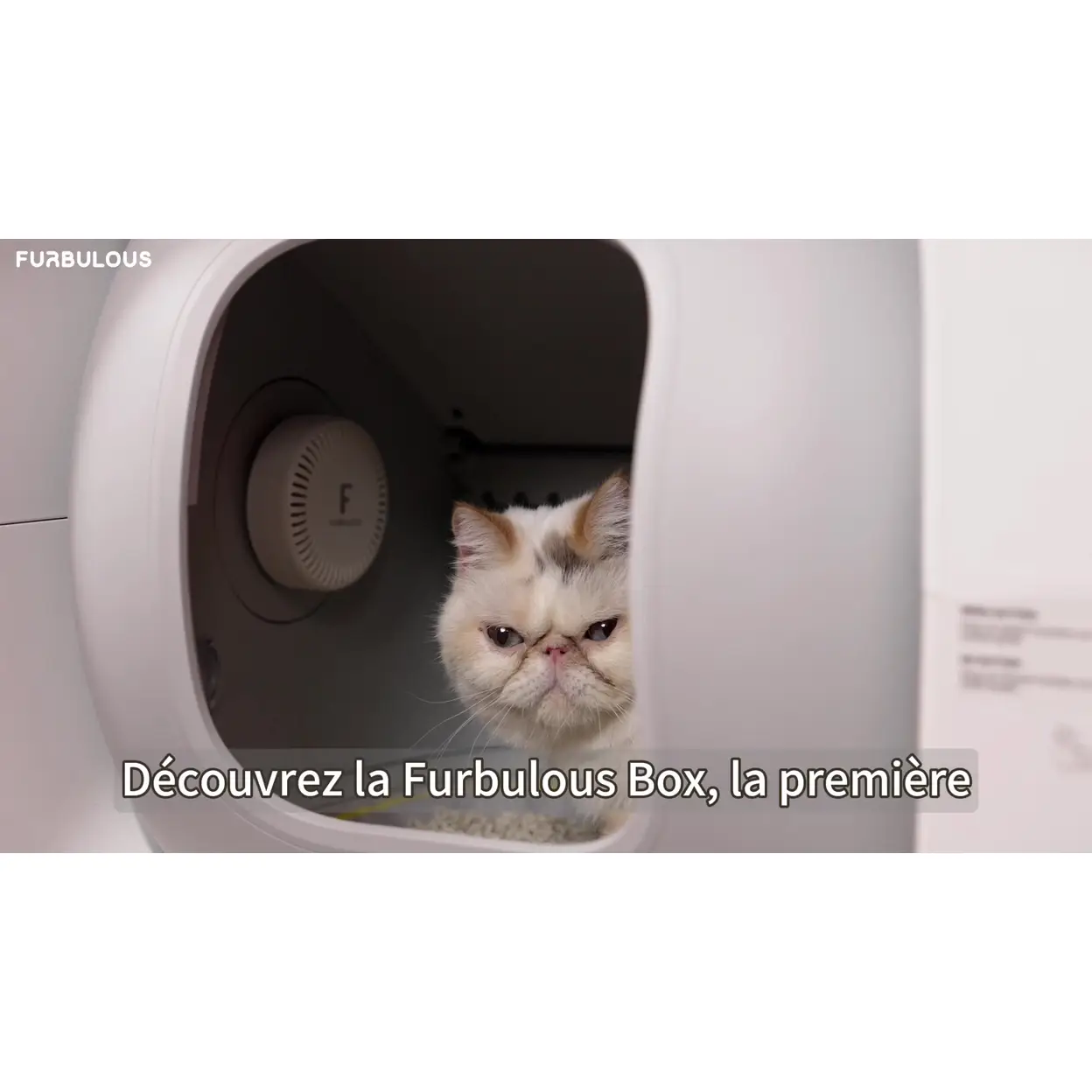 video cover image