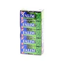 Falim Mint Gum - 5 x 20 g image 0