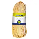 Tenax Raphia naturel - 50 g  image 0