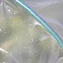 TENAX Dot Film de serre micro-perforé - 2 x 10 m image 2