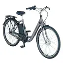 Prophete Geniesser e5000 Elektrische Stadsfiets 28 inch LED-Display Voorwielmotor image 1