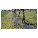 TENAX Cover Pro Bâche pour paillage vert - 2,1 x 100 m image 0