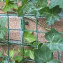 TENAX Corolla Filet pour plantes grimpantes vert à mailles carrées - 0,5 x 5 m image 2