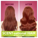 Herbal Essences Color Safe Ignite My Colour Shampoo 400ml image 3