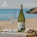 Torres Vina Sol 75cl 12% Vol image 1
