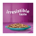 Whiskas 1+ Duo Ocean Delights Adult Wet Cat Food Pouches in Jelly 12 x 85g image 2