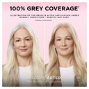 L'Oréal Paris Excellence Pure Blonde Permanent Hair Dye, 01 Supreme Lightest Blonde image 2