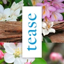 Impulse  Body Spray Tease 75 ml image 5