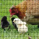 TENAX Cintoflex D Filet en plastique noir à mailles larges pour clôtures - 1,5 x 100 m image 2