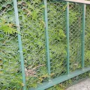 TENAX Exagon Filet en plastique avec mailles hexagonales vert pour balcon et terrasse - 0.8 x 50 m image 2