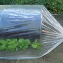 TENAX Dot Film de serre micro-perforé - 2 x 10 m image 1