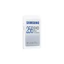 Samsung EVO Plus 256 gb SDXC UHS-I image 1