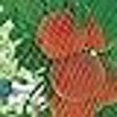 TENAX Ortoflex Filet anti-oiseaux à mailles carrées vert - 4,00 x 10 m image 1