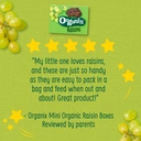 Organix Goodies Raisins 12+ Months 12 x 14g image 2
