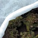 Tenax Ortoclima Plus Voile d’hivernage pour plantes - 2,4 x 10 m image 1