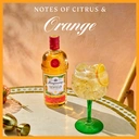 Tanqueray Flor De Sevilla Gin 41.3%vol 70cl image 5