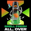 Lynx  Aerosol Body Spray Jungle Fresh 250ml image 5