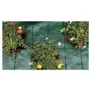 TENAX Cover Pro Bâche pour paillage vert - 2,1 x 100 m image 1