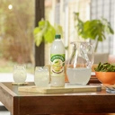 Robinsons No Added Sugar Squash Fruit & Barley Apple & Pear 1L image 1