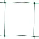 TENAX Filet de palissage vert - 2 x 5 m image 0
