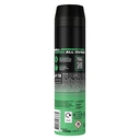 Lynx  Aerosol Body Spray Jungle Fresh 250ml image 3