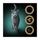 Sheba Fresh & Fine Adult Wet Cat Food Fish In Gravy 15 x 50g Pouches image 5