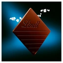 Lindt Excellence A Touch Of Sea Salt Dark 100g image 1