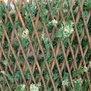 TENAX Divy 3D X-Tens Haie artificielle de cyprès - 1 x 2 m  image 1