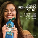 Herbal Essences Argan Oil Repair Shampoo to Nourish Damaged Hair Silicone Free 350ml image 5