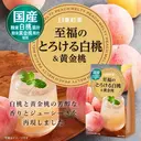 Nitto Instant Peach Juice 8 Sticks 88g image 2
