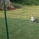 Tenax Millennium Filet de clôture vert en plastique durable - 1 x 25 m image 1