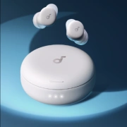 Earbuds