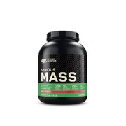 Mass Gainer