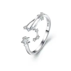 Ever Faith 925 Sterling Silver CZ Adjustable Statement Ring for Women - Horoscope Zodiac 12 Constellation Astrology