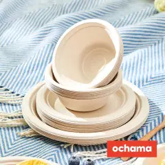 ochama Disposable Plates, 20 pieces