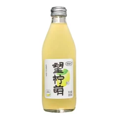 HOPE WATER Bayberry flavour Sparkling Water 300ml