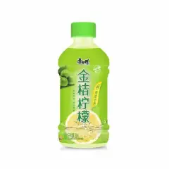 Master Kong Kumquat Lemon Drink 500ml