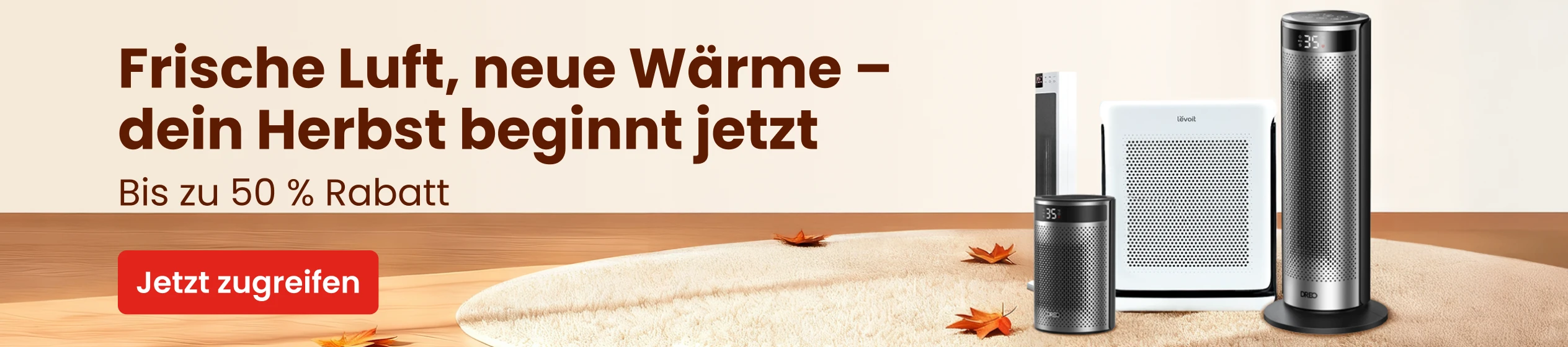 Big Promotion banner