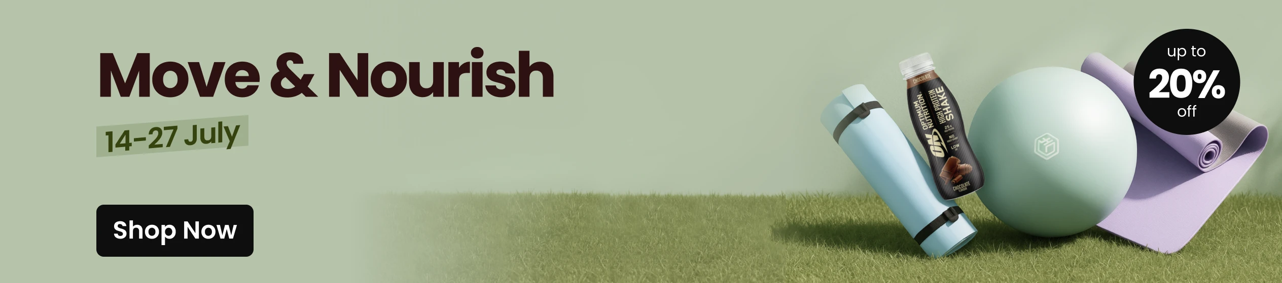 Big Promotion banner