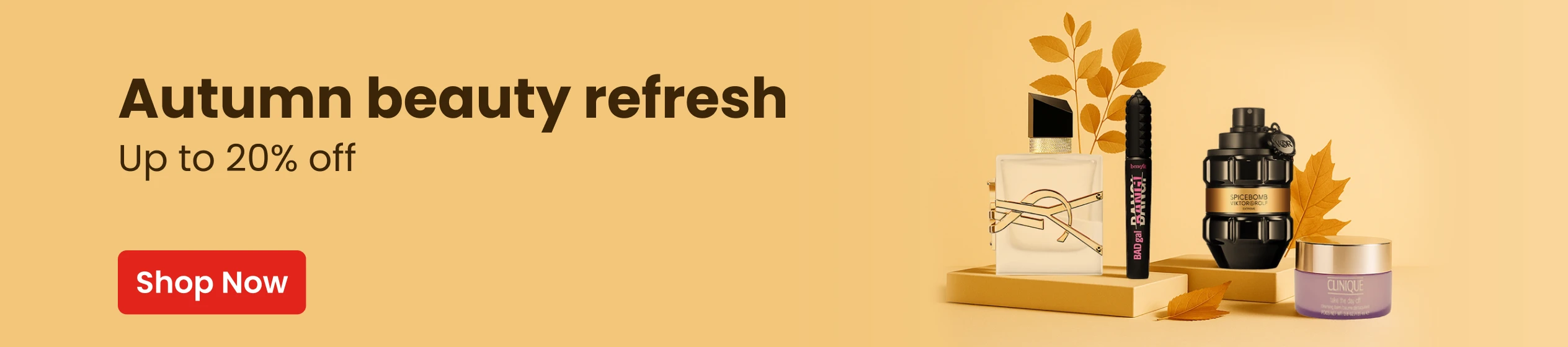 Big Promotion banner