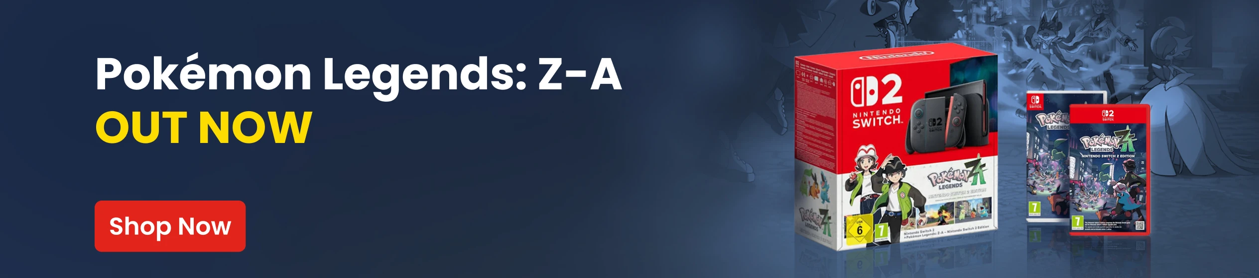 Big Promotion banner