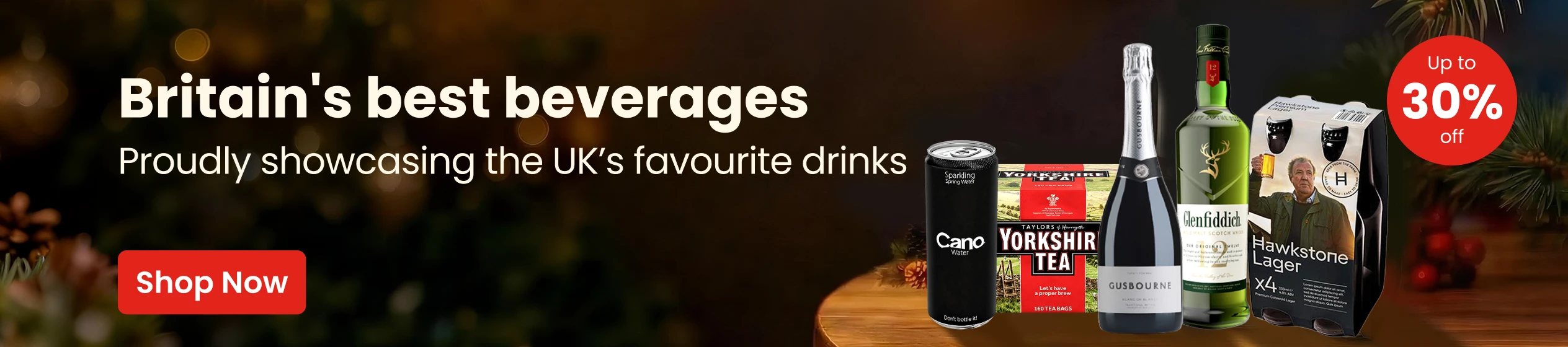 Big Promotion banner