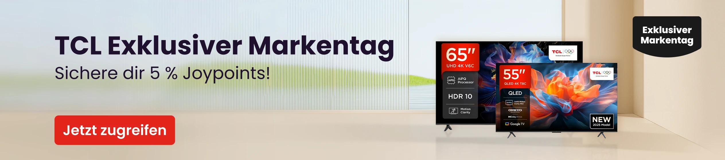 Big Promotion banner