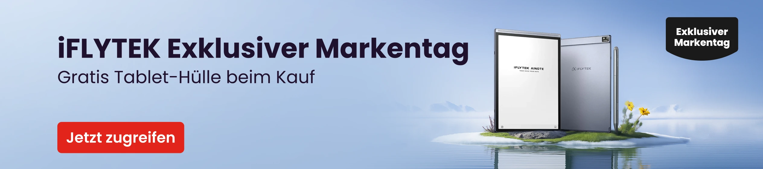 Big Promotion banner