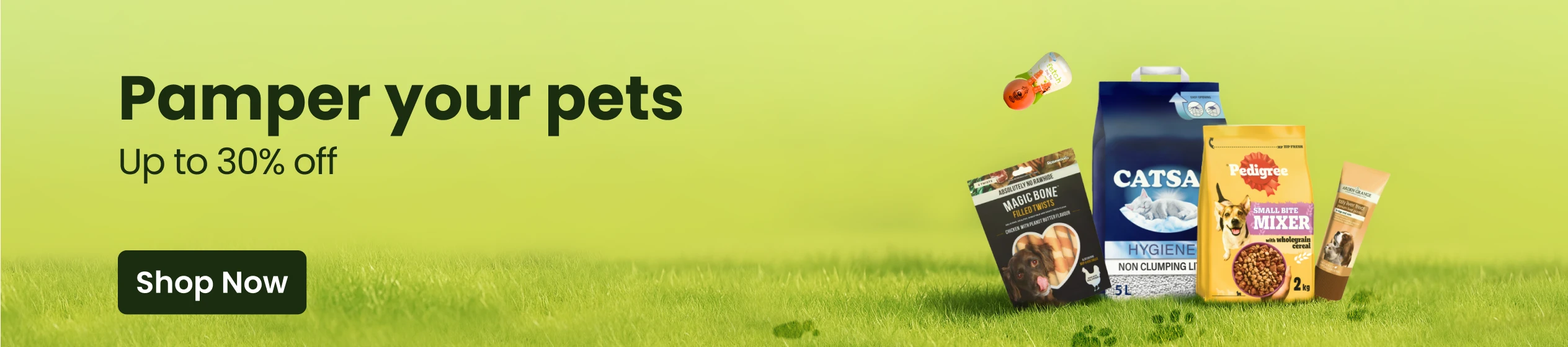Big Promotion banner