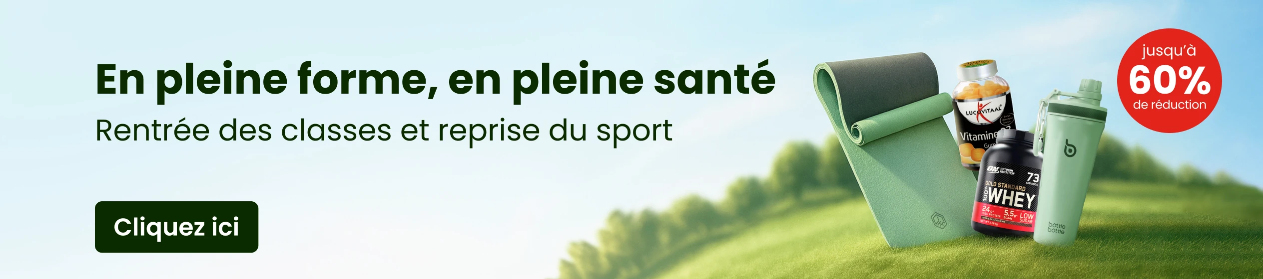 Big Promotion banner