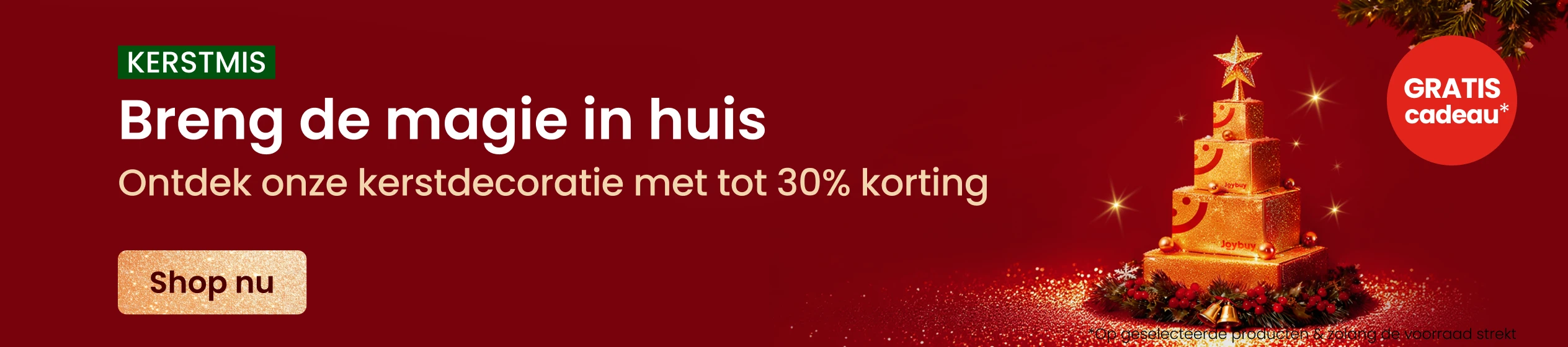 Big Promotion banner