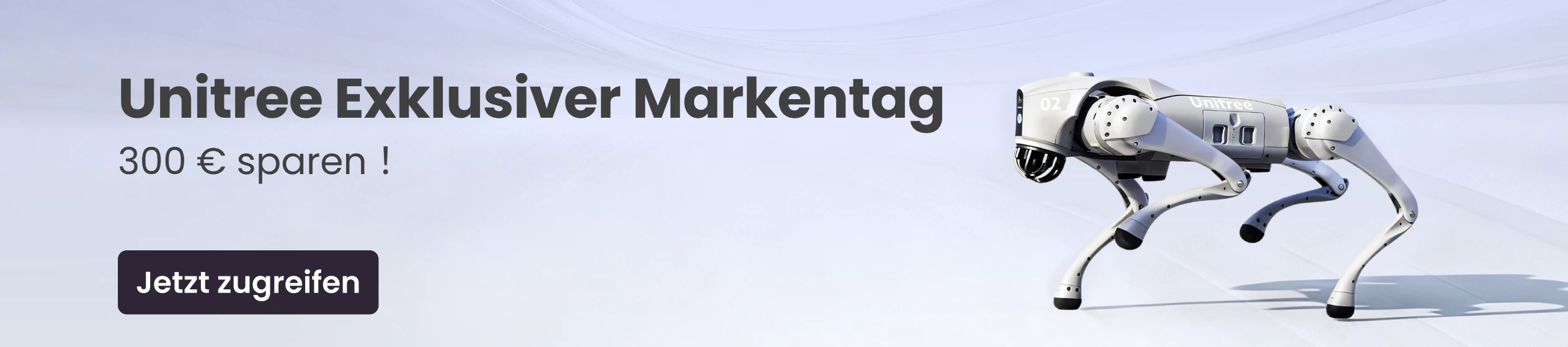 Big Promotion banner