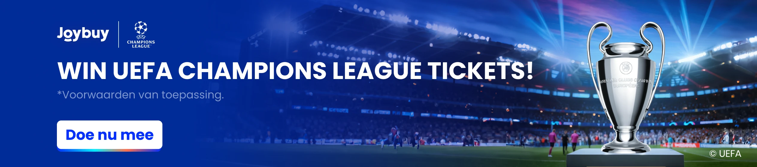Big Promotion banner