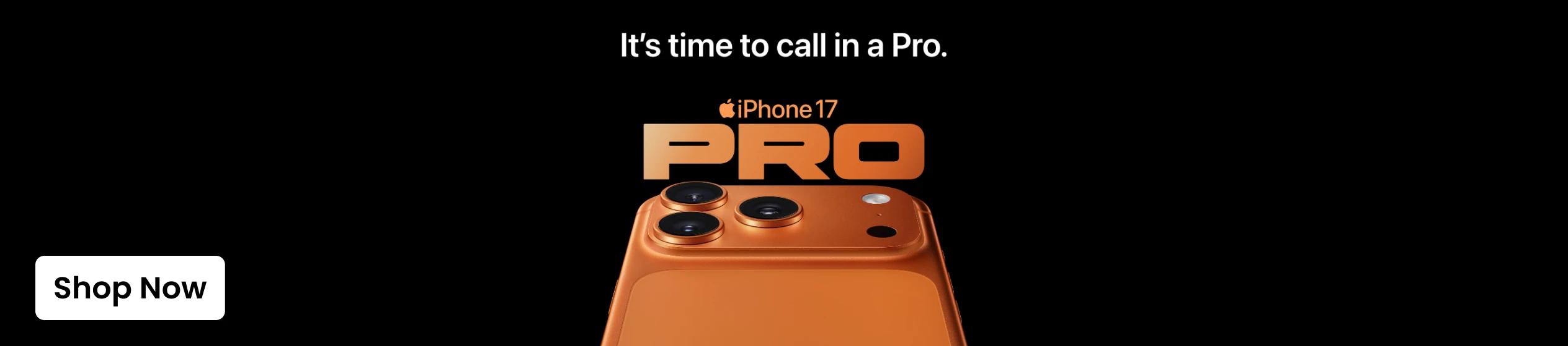 Big Promotion banner